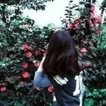 左眼不知右眼伤心只陪它哭