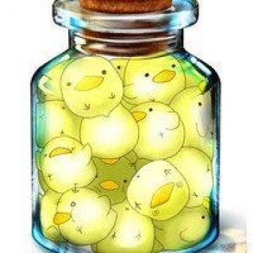 相似的人适合一起欢闹，互补的人适合一起变老