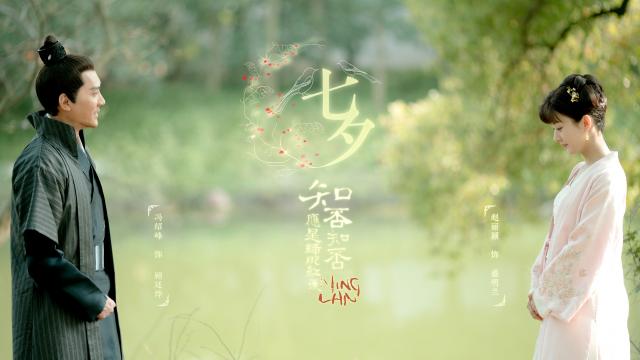 《知否知否应是绿肥红》浪漫七夕海报