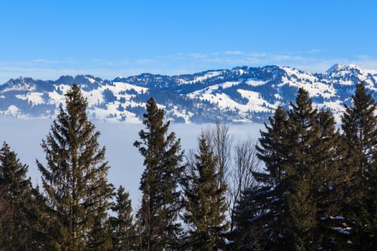 连绵不绝的雪山