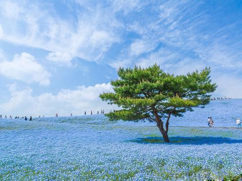 蓝色海洋