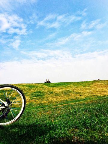 青草满地