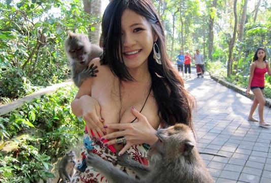 美女出游被猴子扒衣