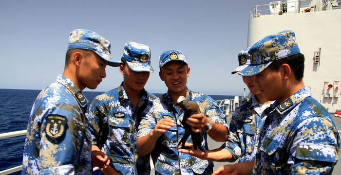 中国海军第十一批护航编队亚丁湾上海鸟