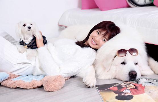 郑佳恩与爱犬拍写真