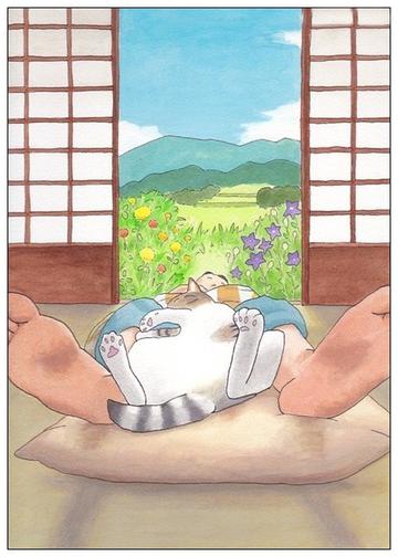 和主人一起睡午觉