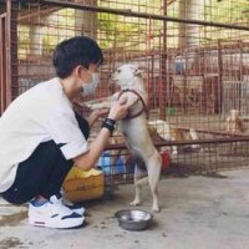 频繁的考试像翻来覆去的死
