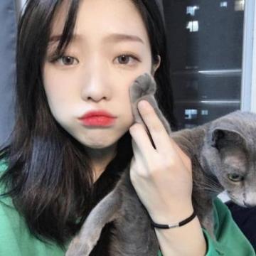 我愿做你的怀中猫