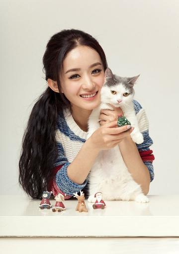 赵丽颖的爱猫