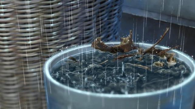 雨季的水缸