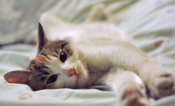 伸懒腰