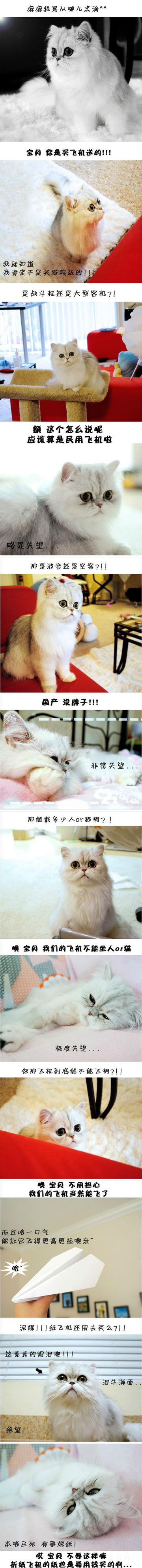身世之谜