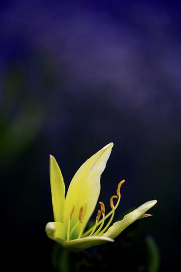 伸展