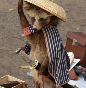 我要去那江湖