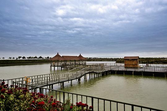 盘锦红海滩尽头