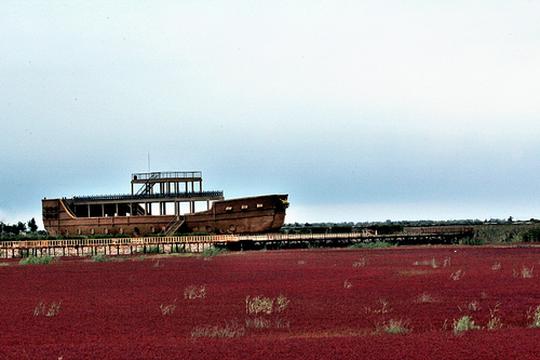 盘锦红海滩景色