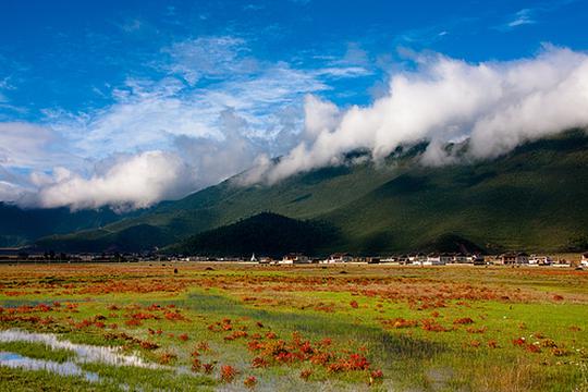云在山巅行