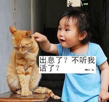 小小小沈阳