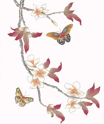 蝴蝶与花