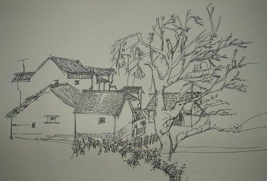农家小院