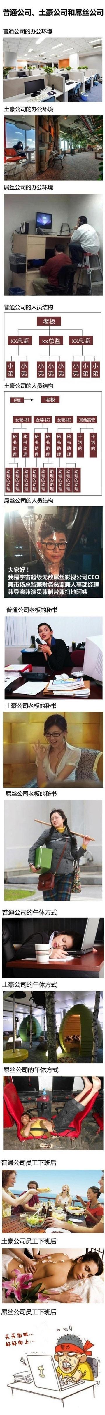 公司的区别