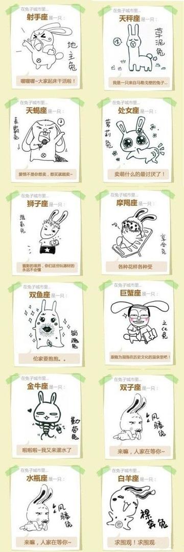 十二星座兔的区别