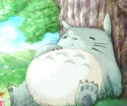 龙猫的午后