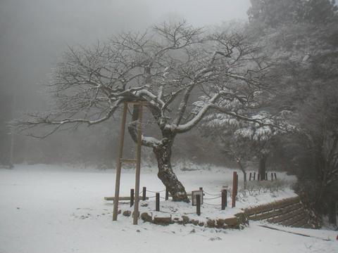 日本冬季美景