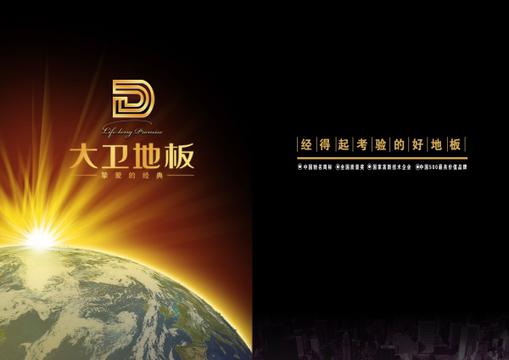 大卫木地板画册封面