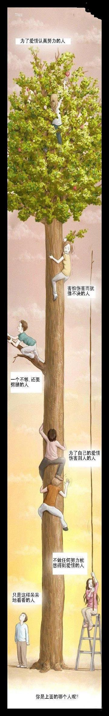 你是哪个?