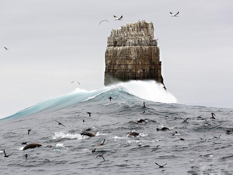 海上盛宴
