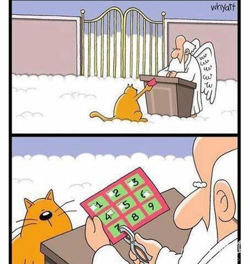 猫有九条命