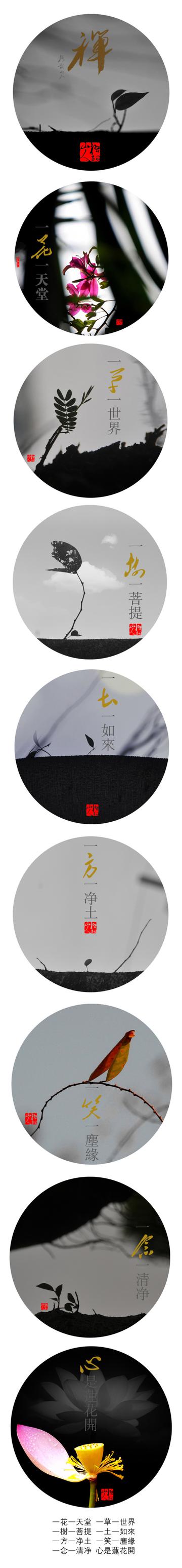 禅