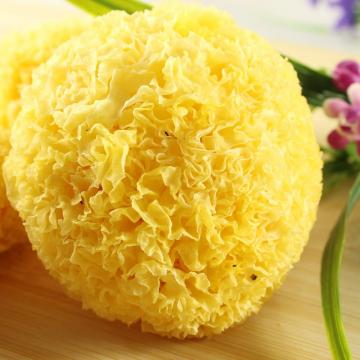 银耳有"菌中之冠"的美称