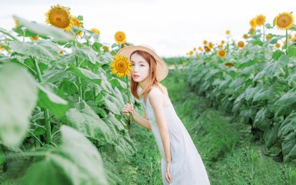 明媚的向日葵女孩