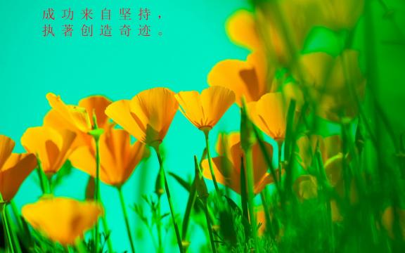 暖心激励考试唯美语录