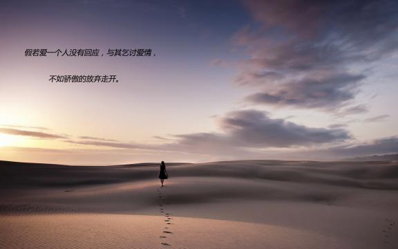 准备放弃一个人的悲伤无力