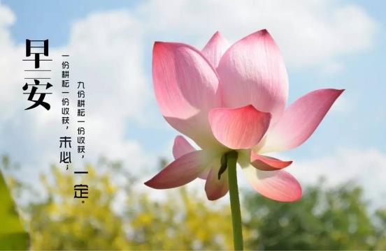 微信早安励志正能量配图