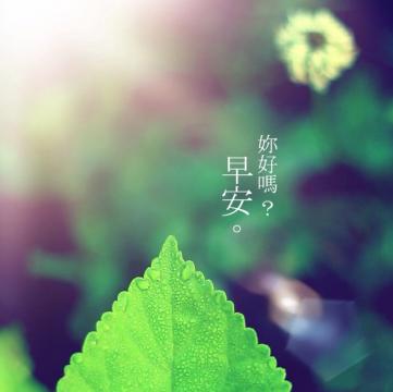 说声早安,你好吗？