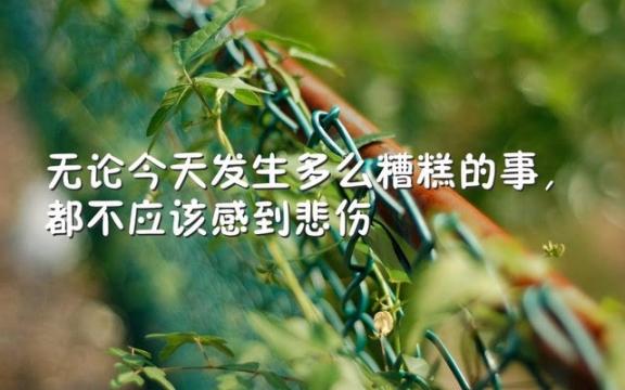 微信早安心语励志语录