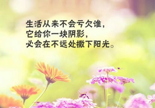 青春带字的励志文字