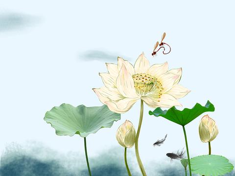 国画荷花工笔画