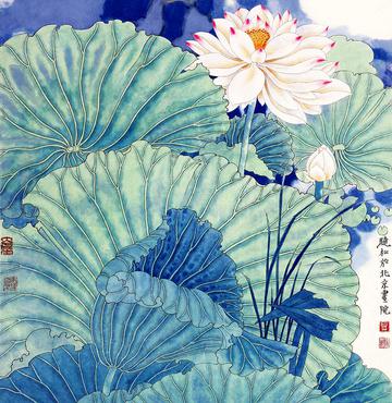 莲花工笔画
