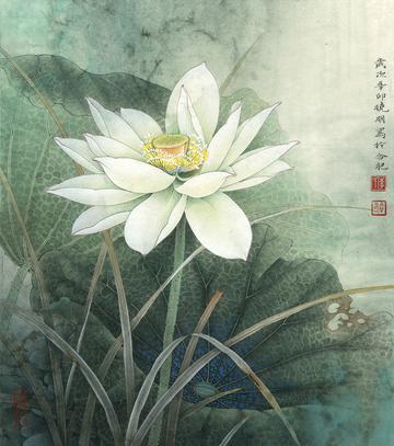 工笔画白描荷花