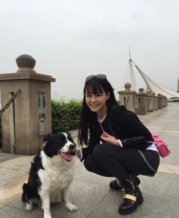沈梦辰的快乐时光