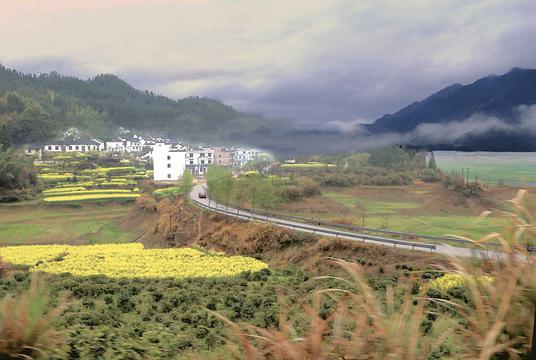 花香庆源村