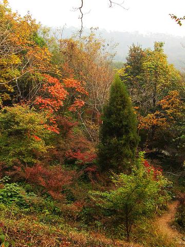 清幽静怡栖霞山