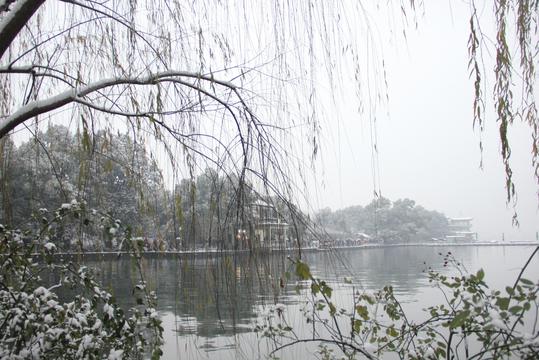 西湖断桥残雪