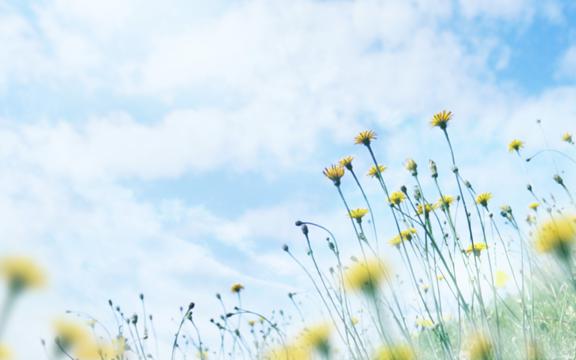 烈日炎炎之初夏的一抹阳光
