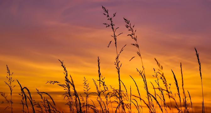 烈日炎炎的夏天夕阳唯美